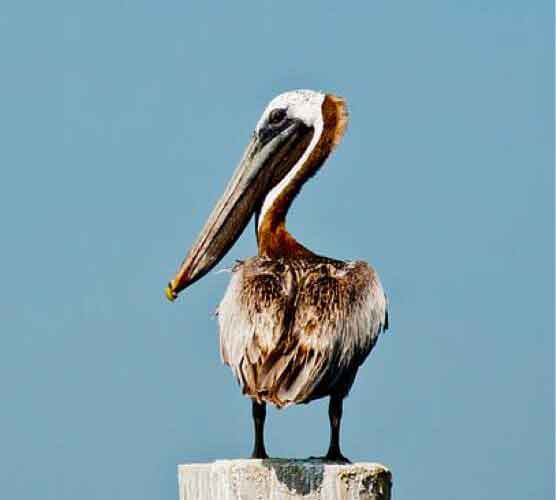 ip攻击器网页版ddos