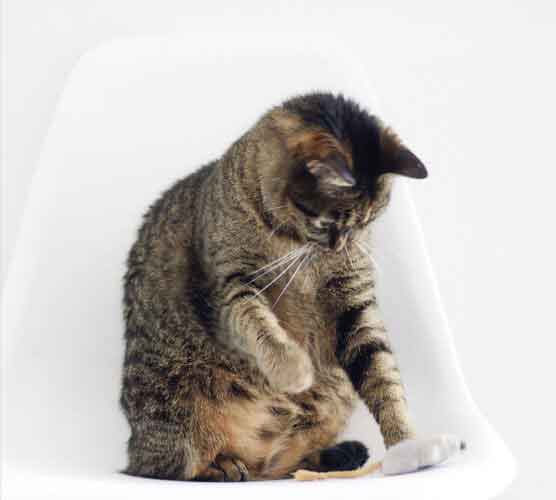 安全无后顾之忧的服务器攻击方式